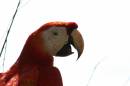 IMG_1744.JPG