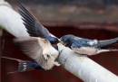 IMG_1799_3861_edited-1.jpg