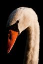 IMG_1986Aa.jpg