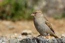 IMG_1991a.jpg