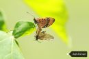 IMG_20171019_184317-1440x960.jpg