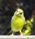 IMG_2047M2.jpg