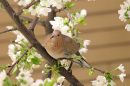 IMG_2271a-1.jpg