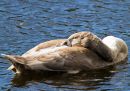 IMG_2556.jpg