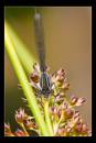 IMG_2639-Edit.jpg