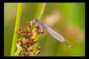 IMG_2651-Edit.jpg