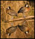 IMG_2994n.jpg
