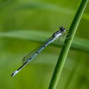 IMG_3032.jpg