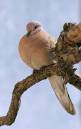 IMG_3429b_filtereda.jpg