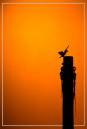 IMG_3912_12.jpg