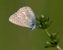 IMG_4353.jpg