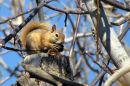 IMG_4808b.jpg