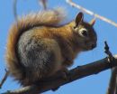 IMG_4828ab.jpg