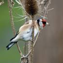 IMG_4963-Edit.jpg