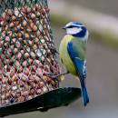 IMG_5030-Edit.jpg