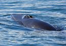 IMG_5295-120_edited-1.jpg