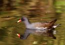 IMG_5371_edited-1.jpg