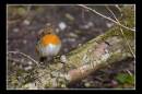 IMG_5459-Edit.jpg