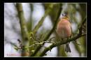 IMG_5637-Edit.jpg