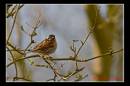 IMG_5653-Edit.jpg