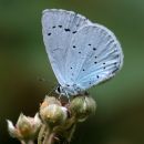 IMG_6076.jpg