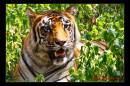 IMG_6168-Edit.jpg
