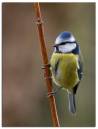 IMG_6224-Edit.jpg