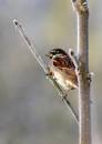 IMG_6475_4201_edited-1.jpg