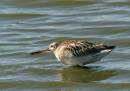 IMG_6507-061.jpg