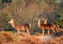 IMG_6716-028.jpg