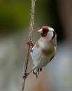 IMG_7056-Edit-2.jpg