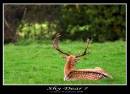 IMG_7274-01.jpg