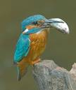IMG_7363-2.jpg