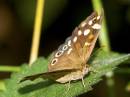 IMG_7447s.jpg