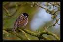 IMG_7516-Edit.jpg