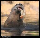 IMG_7523-01_feeding_time.jpg