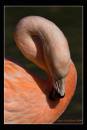 IMG_7544-Edit.jpg