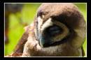 IMG_7901-Edit.jpg