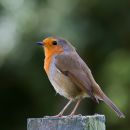 IMG_8186.jpg