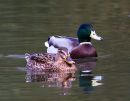 IMG_8426.jpg