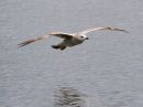 IMG_8737.jpg