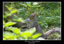 IMG_8757-01.jpg