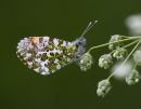 IMG_9000.jpg