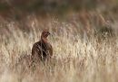 IMG_9236_edited-1.jpg