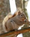 IMG_9493B.JPG