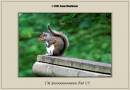 IMG_9633-02.jpg