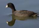 IW4Q01331.jpg