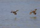 IW4Q01573.jpg