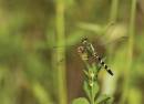 IW4Q14821.jpg