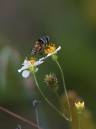 IW4Q39051.jpg